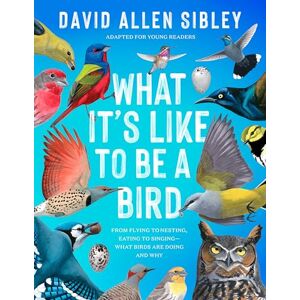 Sibley, David Allen What It's Like to Be a Bird (Adapted for Young Readers): From Flying to Nesting, Eating to Singing--What Birds Are Doing, and Why Sibley, David Allen What It's Like to Be a Bird (Adapted for Young Readers): From Flying to Nesting, Eating to Singing--What Birds Are Doing, and Why