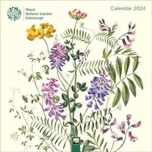 Flame Tree Gift Royal Botanic Garden Edinburgh Wall Calendar 2024 (Art Calendar) Flame Tree Gift Royal Botanic Garden Edinburgh Wall Calendar 2024 (Art Calendar)