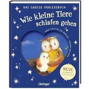 Zur Brügge, Anne-Kristin Wie kleine Tiere schlafen gehen. Das große Vorlesebuch: Neue Gutenachtgeschichten Zur Brügge, Anne-Kristin Wie kleine Tiere schlafen gehen. Das große Vorlesebuch: Neue Gutenachtgeschichten