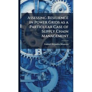 Montoya, Gabriel Alejandro Assessing Resilience in Power Grids as a Particular Case of Supply Chain Management Montoya, Gabriel Alejandro Assessing Resilience in Power Grids as a Particular Case of Supply Chain Management