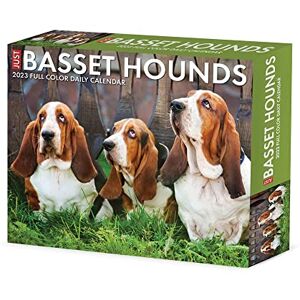 Willow Creek Basset Hounds 2023 Box Calendar Willow Creek Basset Hounds 2023 Box Calendar