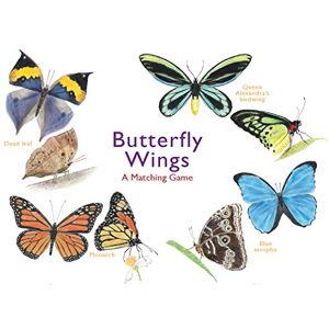 Butterfly Wings: A Matching Game Butterfly Wings: A Matching Game