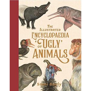 Bayly, Sami The Illustrated Encyclopaedia of 'Ugly' Animals Bayly, Sami The Illustrated Encyclopaedia of 'Ugly' Animals