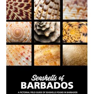 Faria, Mr Clement Fidel Seashells of Barbados: A Pictorial Field Guide of Seashells found in Barbados Faria, Mr Clement Fidel Seashells of Barbados: A Pictorial Field Guide of Seashells found in Barbados