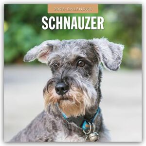 Red Robin Schnauzer 2025 Square Wall Calendar Red Robin Schnauzer 2025 Square Wall Calendar