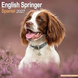 Avonside Publishing Ltd English Springer Spaniel 2027 Calendar Square Wall Calendar Dog Breed Gift Plastic Free Packaging by Avonside Publishing Avonside Publishing Ltd English Springer Spaniel 2027 Calendar Square Wall Calendar Dog Breed Gift Plastic Free Packaging by Avonside Publishing