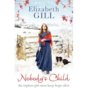 Gill, Elizabeth Nobody's Child: An orphan girl must keep hope alive Gill, Elizabeth Nobody's Child: An orphan girl must keep hope alive