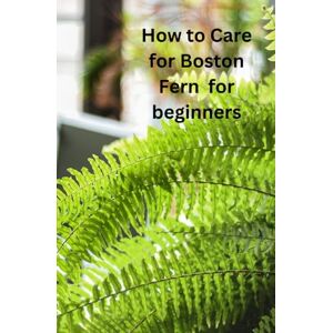 Plants, All Things How To Care For Boston Fern For Beginners: From Novice to Green Thumb: A Comprehensive Beginner's Journey to Understanding and Nurturing Boston Ferns Plants, All Things How To Care For Boston Fern For Beginners: From Novice to Green Thumb: A Comprehensive Beginner's Journey to Understanding and Nurturing Boston Ferns