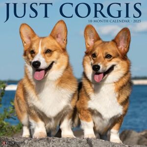 Willow Creek Press Corgis 2025 Wall Willow Creek Press Corgis 2025 Wall