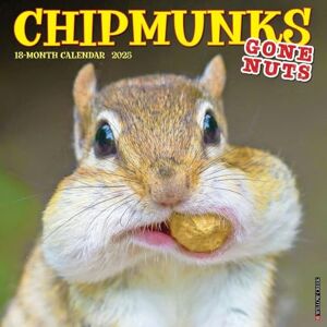 Willow Creek Press Chipmunks (Gone Nuts!) 2025 Wall Willow Creek Press Chipmunks (Gone Nuts!) 2025 Wall