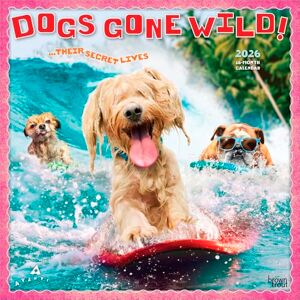 Publishers, Browntrout Avanti Dogs Gone Wild OFFICIAL 2026 12 x 24 Inch (Hanging) Monthly Square Wall Calendar Plastic-Free BrownTrout Canine Pet Humor Publishers, Browntrout Avanti Dogs Gone Wild OFFICIAL 2026 12 x 24 Inch (Hanging) Monthly Square Wall Calendar Plastic-Free BrownTrout Canine Pet Humor