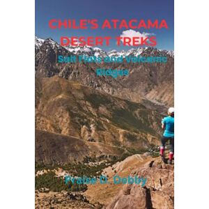 Debby, Praise D. CHILE’S ATACAMA DESERT TREKS: SALT FLATS AND VOLCANIC RIDGES Debby, Praise D. CHILE’S ATACAMA DESERT TREKS: SALT FLATS AND VOLCANIC RIDGES