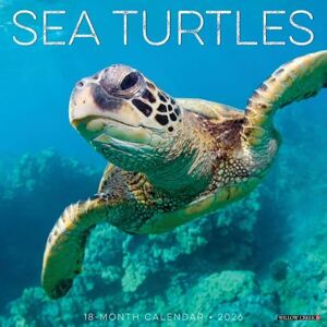 Willow Creek Press Sea Turtles 2026 Wall Calendar Willow Creek Press Sea Turtles 2026 Wall Calendar