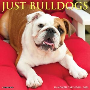 Willow Creek Press Bulldogs 2026 Wall Calendar Willow Creek Press Bulldogs 2026 Wall Calendar