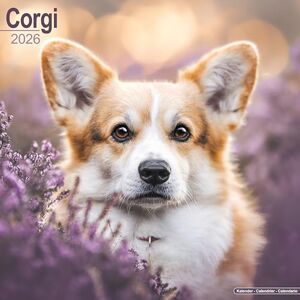 Avonside Publishing Ltd Corgi 2026 Calendar Square Wall Calendar Dog Breed Gift Plastic Free Packaging by Avonside Publishing Avonside Publishing Ltd Corgi 2026 Calendar Square Wall Calendar Dog Breed Gift Plastic Free Packaging by Avonside Publishing
