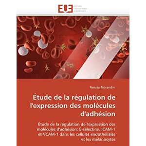 Morandini, Renato Étude de la régulation de l'expression des molécules d'adhésion Morandini, Renato Étude de la régulation de l'expression des molécules d'adhésion