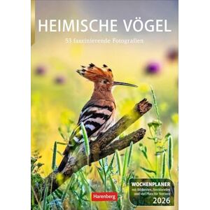 Hattstein, Markus Heimische Vögel Wochenplaner 2026 53 faszinierende Fotografien: Wochenkalendarium, Infos zu den porträtierten Vogelarten und viel Platz für Termine ... praktischen Wand-Kalender 2026 zum Eintragen Hattstein, Markus Heimische Vögel Wochenplaner 2026 53 faszinierende Fotografien: Wochenkalendarium, Infos zu den porträtierten Vogelarten und viel Platz für Termine ... praktischen Wand-Kalender 2026 zum Eintragen
