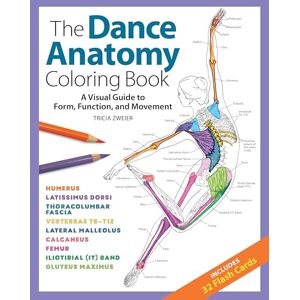 Tricia Zweier The Dance Anatomy Coloring Book: A Visual Guide to Form, Function, and Movement (Anatomy Coloring Books) Tricia Zweier The Dance Anatomy Coloring Book: A Visual Guide to Form, Function, and Movement (Anatomy Coloring Books)