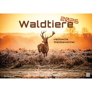 Waldtiere Heimische Waldbewohner Der Tierkalender 2026 Kalender DIN A2: Der Wandkalender mit den schönsten Waldtier-Motiven für das Jahr 2026 im extragroßen Format DIN A2 (ca. 60 x 42 cm)! Waldtiere Heimische Waldbewohner Der Tierkalender 2026 Kalender DIN A2: Der Wandkalender mit den schönsten Waldtier-Motiven für das Jahr 2026 im extragroßen Format DIN A2 (ca. 60 x 42 cm)!
