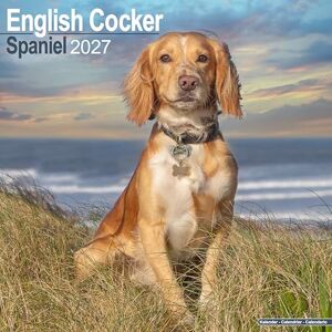 Avonside Publishing Ltd English Cocker Spaniel 2027 Calendar Square Wall Calendar Dog Breed Gift Plastic Free Packaging by Avonside Publishing Avonside Publishing Ltd English Cocker Spaniel 2027 Calendar Square Wall Calendar Dog Breed Gift Plastic Free Packaging by Avonside Publishing