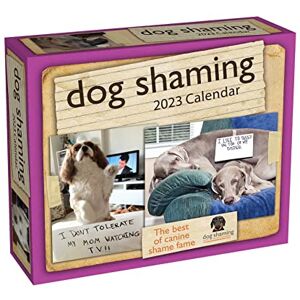 Lemire, Pascale Dog Shaming 2023 Day-to-Day Calendar Lemire, Pascale Dog Shaming 2023 Day-to-Day Calendar