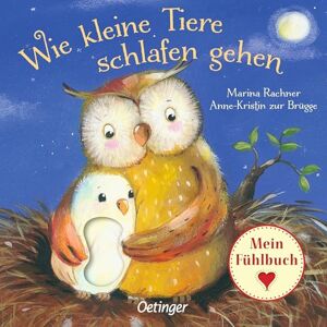 Zur Brügge, Anne-Kristin Wie kleine Tiere schlafen gehen: Mein Fühlbuch Zur Brügge, Anne-Kristin Wie kleine Tiere schlafen gehen: Mein Fühlbuch