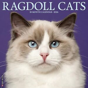 Willow Creek Press Ragdoll Cats 2026 Wall Calendar Willow Creek Press Ragdoll Cats 2026 Wall Calendar
