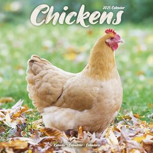 AVONSIDE Chickens 2025 Square Wall Calendar Bird, Wildlife, Farm Calendar ENGLISH EDITION AVONSIDE Chickens 2025 Square Wall Calendar Bird, Wildlife, Farm Calendar ENGLISH EDITION