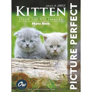 World, Our Kitten: Picture Perfect Photo Book World, Our Kitten: Picture Perfect Photo Book