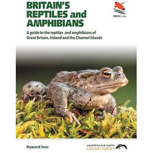 Inns, Howard Britain`s Reptiles and Amphibians: A Guide to the Reptiles and Amphibians of Great Britain, Ireland and the Channel Islands (Britain's Wildlife, 23) Inns, Howard Britain`s Reptiles and Amphibians: A Guide to the Reptiles and Amphibians of Great Britain, Ireland and the Channel Islands (Britain's Wildlife, 23)