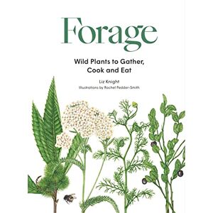 Knight, Liz Forage: Wild plants to gather and eat Knight, Liz Forage: Wild plants to gather and eat