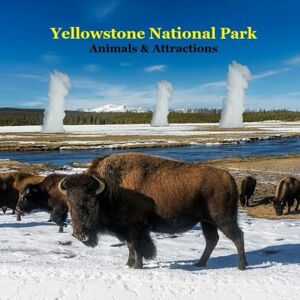 Grinslott, Billy Yellowstone Park Animals & Attractions Kids Book: Great Way for kids to See What Yellowstone National Park Has to Offer Grinslott, Billy Yellowstone Park Animals & Attractions Kids Book: Great Way for kids to See What Yellowstone National Park Has to Offer