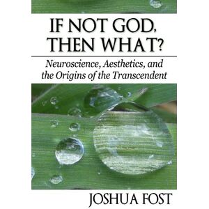 Fost, Joshua If Not God, Then What? Neuroscience, Aesthetics, and the Origins of the Transcendent Fost, Joshua If Not God, Then What? Neuroscience, Aesthetics, and the Origins of the Transcendent