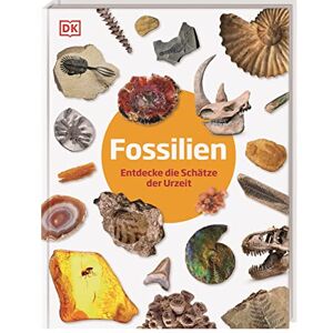 Lomax, Dean Fossilien: Entdecke die Schätze der Urzeit Lomax, Dean Fossilien: Entdecke die Schätze der Urzeit
