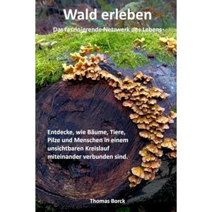 Borck, Thomas Wald erleben Das wunderbare Netzwerk des Lebens: Entdecke, wie Bäume, Tiere, Pilze und Menschen in einem unsichtbaren Kreislauf miteinander verbunden sind. Borck, Thomas Wald erleben Das wunderbare Netzwerk des Lebens: Entdecke, wie Bäume, Tiere, Pilze und Menschen in einem unsichtbaren Kreislauf miteinander verbunden sind.