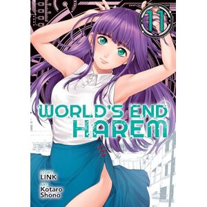 LINK World's End Harem, Vol. 11 LINK World's End Harem, Vol. 11