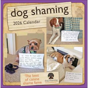 Lemire, Pascale Dog Shaming 2026 Wall Calendar Lemire, Pascale Dog Shaming 2026 Wall Calendar