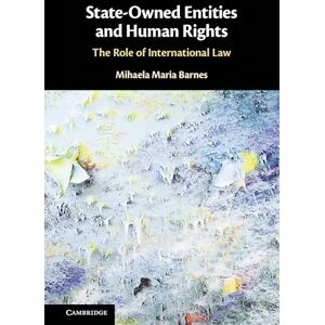Barnes, Mihaela Maria State-Owned Entities and Human Rights: The Role of International Law Barnes, Mihaela Maria State-Owned Entities and Human Rights: The Role of International Law