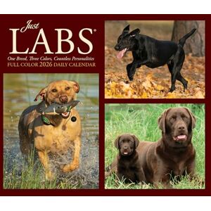 Willow Creek Press Just Labs 2026 Box Calendar Willow Creek Press Just Labs 2026 Box Calendar