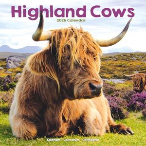 Avonside Publishing Ltd Highland Cows 2026 Calendar Square Wall Calendar Farm Animal Gift Plastic Free Packaging by Avonside Publishing Avonside Publishing Ltd Highland Cows 2026 Calendar Square Wall Calendar Farm Animal Gift Plastic Free Packaging by Avonside Publishing