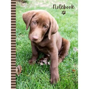 Press, Classic Designer Notes Notebook: Large Hardcover 8.5x11 Composition Journal / 100 Sheets / College Ruled Diary Blank Numbered Pages / Chocolate Brown Labrador Retriever ... Taking Gift For Home-School Work Writing Press, Classic Designer Notes Notebook: Large Hardcover 8.5x11 Composition Journal / 100 Sheets / College Ruled Diary Blank Numbered Pages / Chocolate Brown Labrador Retriever ... Taking Gift For Home-School Work Writing