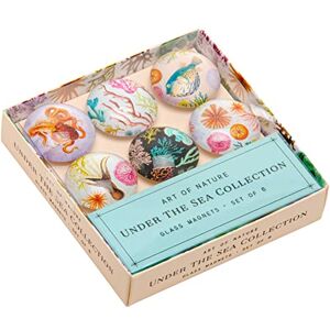 Insights Art of Nature: Under the Sea Glass Magnet Set (Set of 6): 1 Insights Art of Nature: Under the Sea Glass Magnet Set (Set of 6): 1