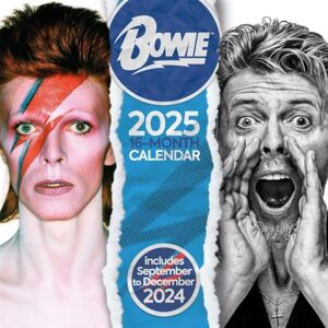 Pyramid David Bowie 2025 Calendar – Iconic Rock Star Art, Premium Collector’s Edition, 16-Month Planner, Gift for Bowie Fans Pyramid David Bowie 2025 Calendar – Iconic Rock Star Art, Premium Collector’s Edition, 16-Month Planner, Gift for Bowie Fans