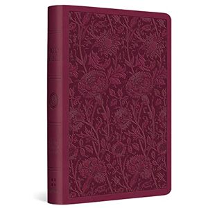 ESV Value Compact Bible (TruTone, Raspberry, Floral Design) ESV Value Compact Bible (TruTone, Raspberry, Floral Design)