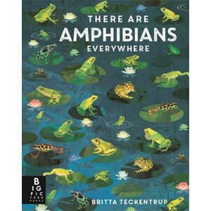 Bedoyere, Camilla De La There Are Amphibians Everywhere (Britta Teckentrup Everywhere) Bedoyere, Camilla De La There Are Amphibians Everywhere (Britta Teckentrup Everywhere)