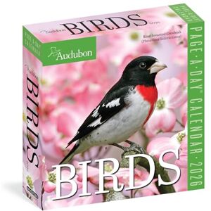 Society, National Audubon Audubon Birds Page-A-Day® Calendar 2026 Society, National Audubon Audubon Birds Page-A-Day® Calendar 2026