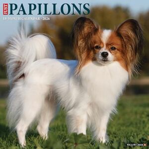 Willow Creek Press Papillons 2026 Wall Calendar Willow Creek Press Papillons 2026 Wall Calendar