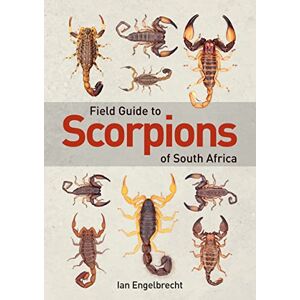Engelbrecht, Ian Field Guide to Scorpions of South Africa Engelbrecht, Ian Field Guide to Scorpions of South Africa