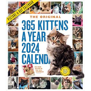 Calendars, Workman 365 Kittens-A-Year Picture-A-Day Wall Calendar 2024: Absolutely Spilling Over With Kittens Calendars, Workman 365 Kittens-A-Year Picture-A-Day Wall Calendar 2024: Absolutely Spilling Over With Kittens