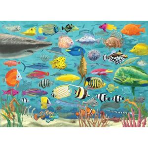 Peter Pauper Press All The Fish 1000 Piece Jigsaw Puzzle, White Peter Pauper Press All The Fish 1000 Piece Jigsaw Puzzle, White